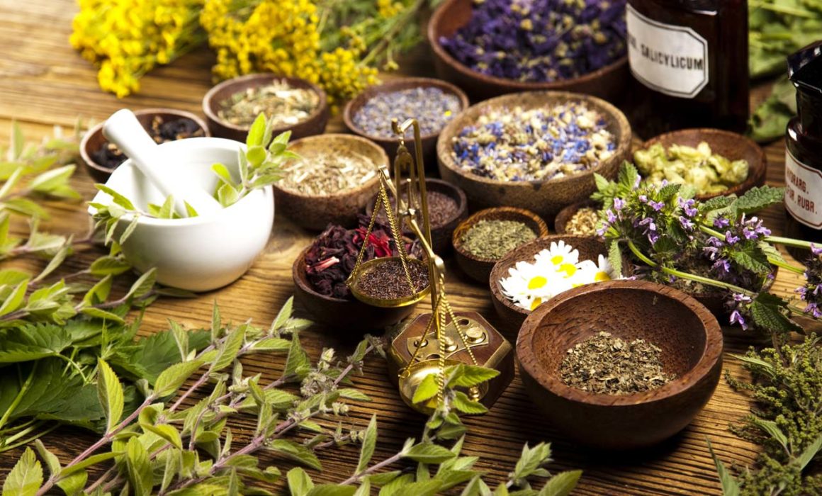 Herbal Medicine The Potential of Natural Remedy - Verita Life