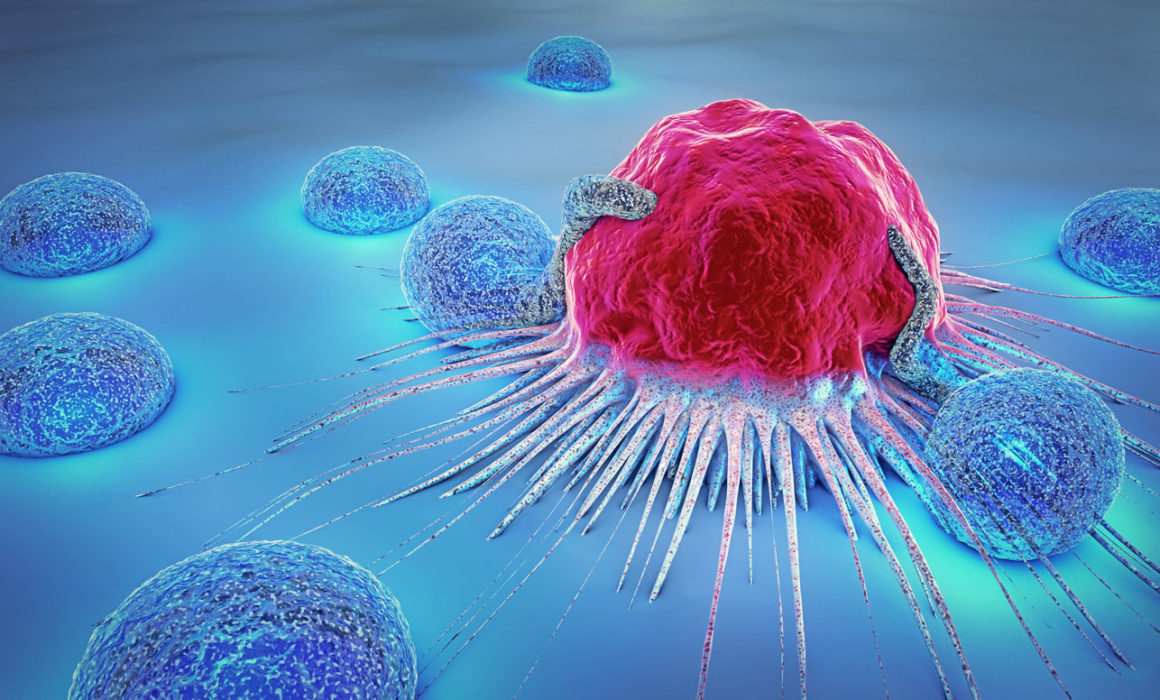 Immunotherapy and Cancer - Verita Life